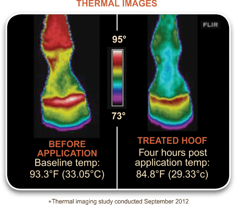 Magic Cushion® & Magic Cushion® Xtreme Absorbine